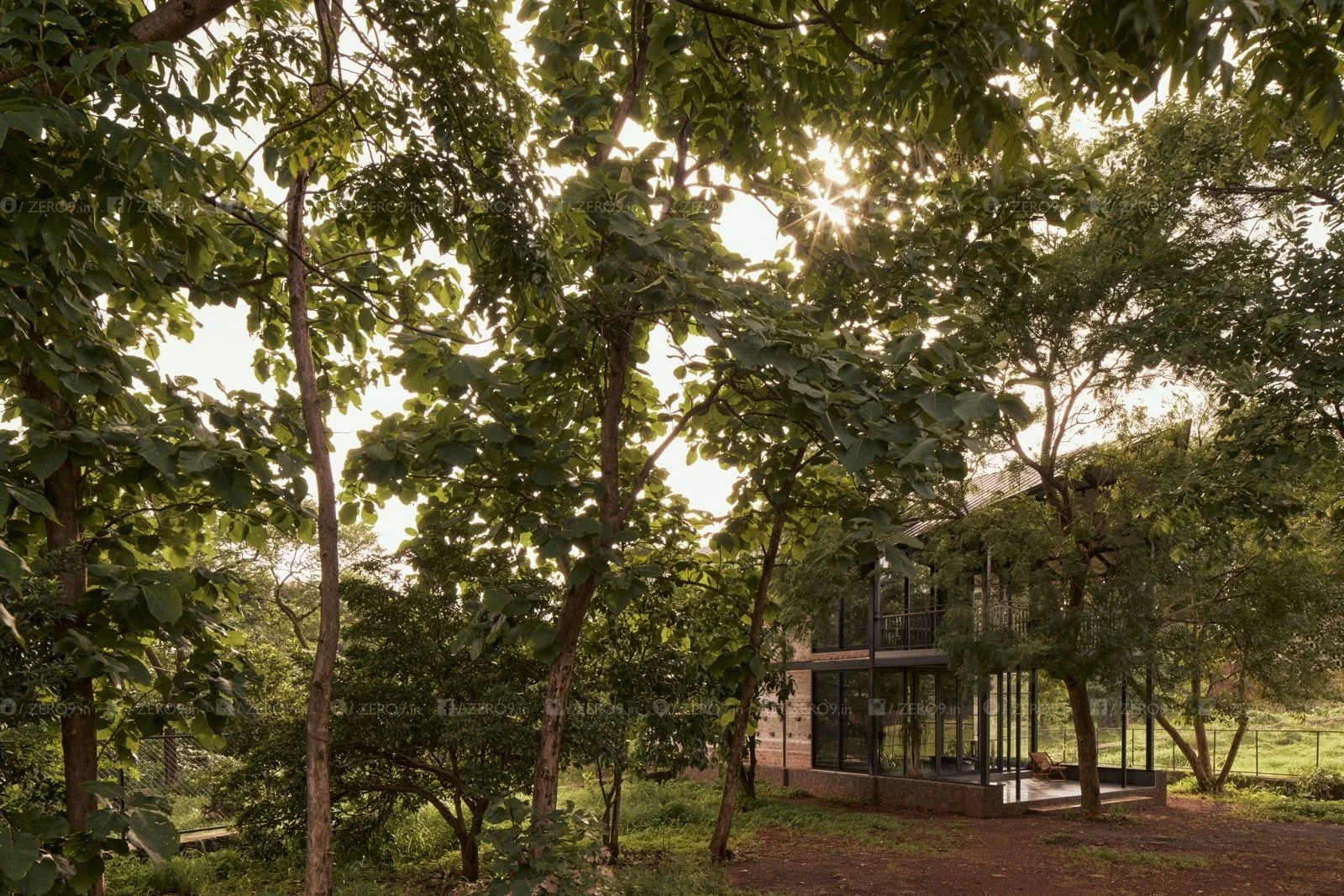 farmPAD in the late afternoon light — sunlight filtering through the forest canopy, the structure settled quietly among the trees