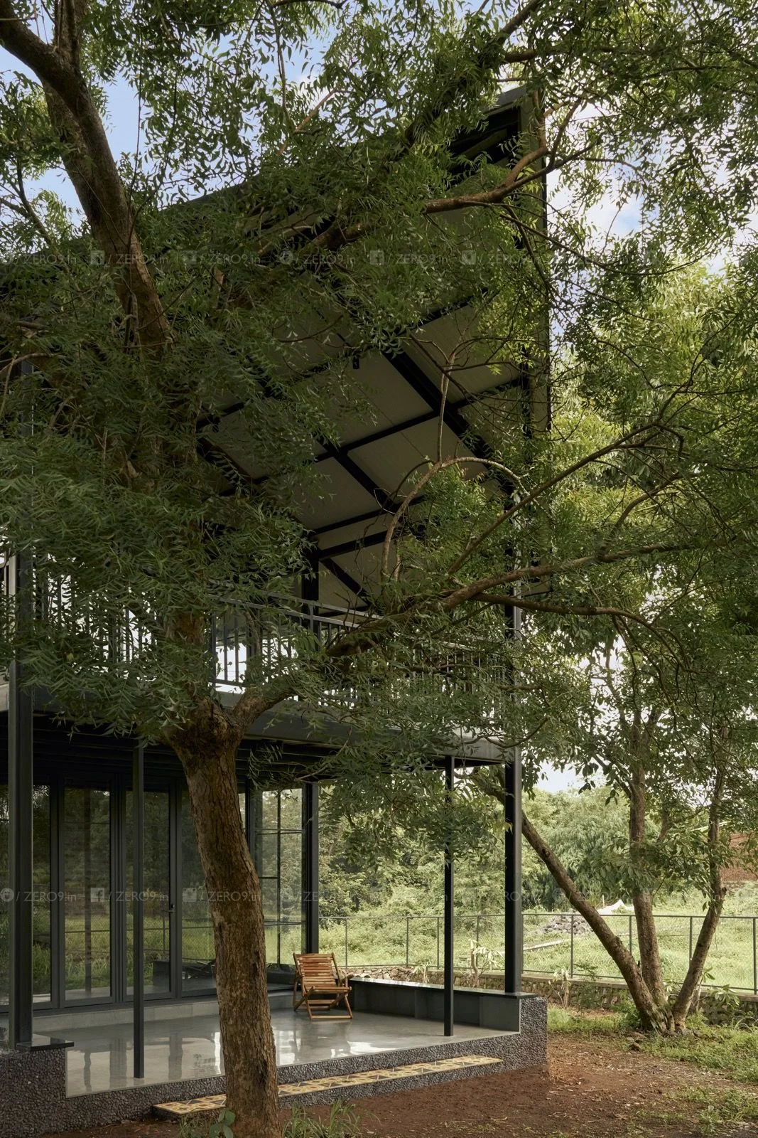 A mature tree grows intimately close to the glazed facade — the steel frame and full-height glazing blur the boundary between inside and out